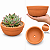 Vaso de Cerâmica/Terracota para todos tipos de Planta (Bacia) - Imagem 2