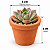 Mini Vaso de Barro Terracota 5 x 6 cm para plantas - Imagem 1