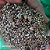 Kit Substrato (PERLITA, VERMICULITA, CAROLINA SOIL e PALHA DE ARROZ) - Imagem 3
