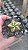 Cacto Astrophytum Myriostigma cv. Variegata - Imagem 2