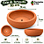 Kit Completo 15 Mini Suculentas + Bacia + Substrato + Argila - Imagem 3