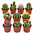 Kit Completo 15 Mini Cactos + Bacia + Substrato + Argila - Imagem 6