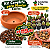 Kit Completo 15 Mini Cactos + Bacia + Substrato + Argila - Imagem 5