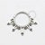 TN602 Segmento Frontal Cravejado 5 Aros Titânio ASTM F136 - Imagem 1