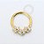 TN1069 Segmento Frontal 8mm Flores CZ Titânio PVD Gold - Imagem 1