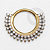 TN1389 Segmento Frontal CZ Brilhantes Titânio PVD Gold - Imagem 1