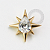TN1580 Topo Estrela Gota CZ Central Titânio PVD Gold - Imagem 1