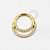TN205 Segmento CZ Double Line Titânio PVD Gold - Imagem 1