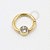 TN295 Segmento Frontal 8mm CZ Flat Titânio PVD Gold - Imagem 1