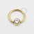 TN354 Captive CZ Flat Titânio PVD Gold - Imagem 1