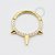 TN427 Segmento Spike CZ Titânio PVD Gold - Imagem 1