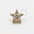 TN640 Topo Estrela Cravejada Titânio PVD Gold - Imagem 1