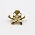 TN694 Topo Caveira Pirata Titânio PVD Gold - Imagem 1