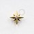 TN857 Topo Estrela 8 Pontas CZ Titânio PVD Gold - Imagem 1