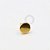 TN96 Topo Disco Push Pin Titânio PVD Gold - Imagem 1