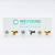 KIT24 Kit Beija Flor Titânio ASTM F136 e Titânio PVD Gold - Imagem 1