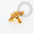 TN2245 Topo Girassol CZ Amarelo Titânio PVD Gold - Imagem 2