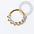 TN2273 Segmento 8 CZ Frontal Titânio PVD Gold - Imagem 1