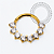 TN2273 Segmento 8 CZ Frontal Titânio PVD Gold - Imagem 2