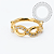 TN2337 Segmento Infinito CZ Titânio PVD Gold - Imagem 1