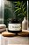 Vela Aromática Bamboo 100g - Imagem 1