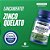 Zinco Quelato Catarinense Pharma 30 Cápsulas Sem Glúten e Lactose - Imagem 7