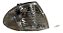 Par Seta Pisca Bmw Serie 3 98 A 01 Tyc Acrílico Com Soquete Cristal - Imagem 8