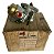 Bomba Combustível Robian Bap007 Motor Mwm 226-4 Dodge D750 - Imagem 2