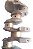 Virabrequim Vw Ap 1.8 Std(026a) Gol Santana Saveiro Voyage - Imagem 7
