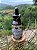 Tintura agulha de Pinheiro 60ml - Imagem 3