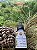 Tintura agulha de Pinheiro 60ml - Imagem 4