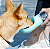 Garrafa Bebedouro Pet 350ml Com Alça Cães Gatos - Azul - Imagem 2