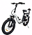 Bicicleta Elétrica Cargo YL-06 - Imagem 1