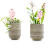 Bolas de Rega Automática Premium Rosa para Plantas Internas e Externas, Design Durável e Ecológico para Uso em Casa e Jardim - Imagem 1
