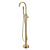 Monocomando Piso Amazon Com Ducha Manual Gold - IM2002GO - Imagem 2