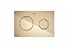Placa De Acionamento N Pl10 3/6 Litros - A8901890RG - Imagem 1