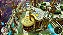 The Adventures of Elliot Digital Deluxe Xbox Series S/X - Imagem 3