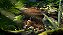 Empire of the Ants – Xbox Series S/X - Imagem 3