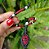 Pulseira Cobra Coral - Imagem 3