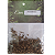 Ervas - Valeriana - Imagem 1