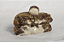 Cookie Kinder Bueno. - Imagem 1