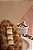 Ovo Cookie Kinder Bueno Especial. - Imagem 2