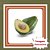 Muda de Abacate Comum Margarida – Frutos Grandes, Cremosos e Muito Saborosos Mill. - Imagem 1