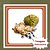 Muda de Fruta do Conde (Anona) – Frutífera Tropical Doce e Cremosa - Imagem 1