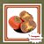 Muda de Caqui Chocolate – Frutos Escuros, Doces e Diferenciados - Imagem 1