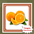 Muda de Laranja Bahia Enxertada – Frutos Doces e Produção Rápida - Imagem 1
