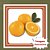 Muda de Laranja Lima Enxertada – Frutos Doces e Saborosos - Imagem 1