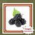 Muda de Amora Tupy- Amora com Espinhos - Rubus spp. - Imagem 1