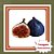 Muda de Figo Negrito (Brown Turkey) – Frutífera Doce, Rústica e Muito Produtiva - Imagem 1