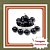 Muda de Jabuticaba Híbrida Tamanho M – Frutífera Produtiva para Vaso e Solo - Imagem 1